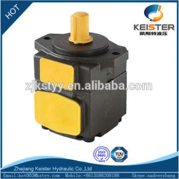 China DVMB-2V-20 wholesale hot oil pump