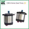 Professional supplier of CBKA micro gear pump
