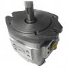NACHI Gear pump IPH-2A-8-LT-11 #1 small image