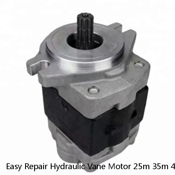 Easy Repair Hydraulic Vane Motor 25m 35m 45m For Elevator Scraper Drives #1 small image