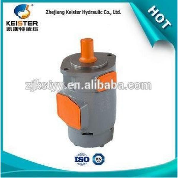 China DVSB-4V-20 supplierstainless steel double vane pump #1 image