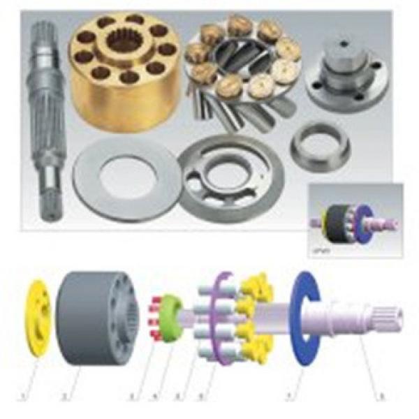 Hydraulic piston pump parts for Liebherr FMV100 #1 image