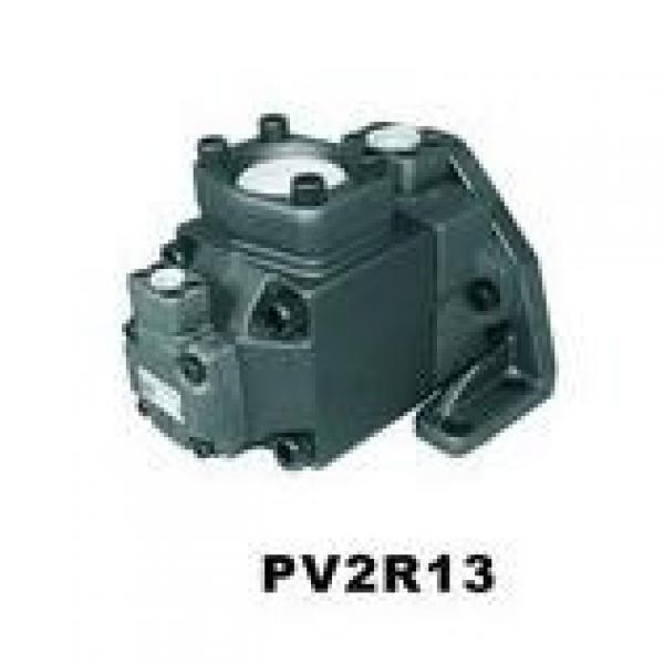  USA VICKERS Pump PVM057ER09GS02AAC28200000A0A #1 image